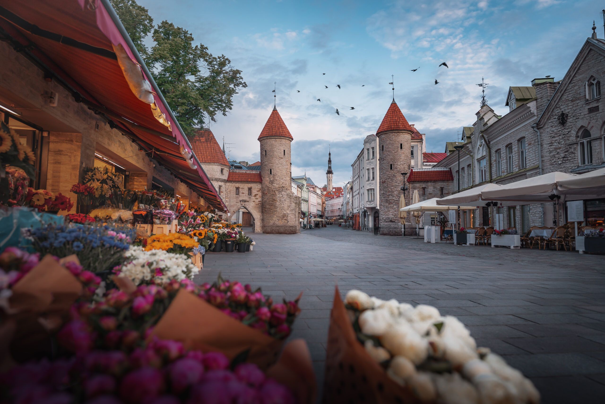 Tallinn - Estonia - IBG Travel