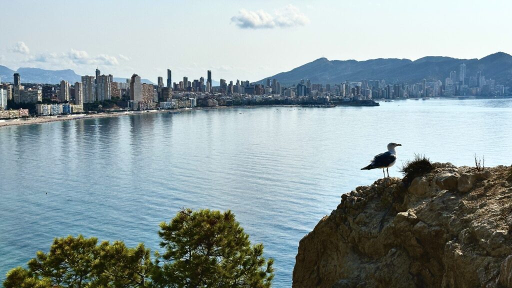 Benidorm coast and city