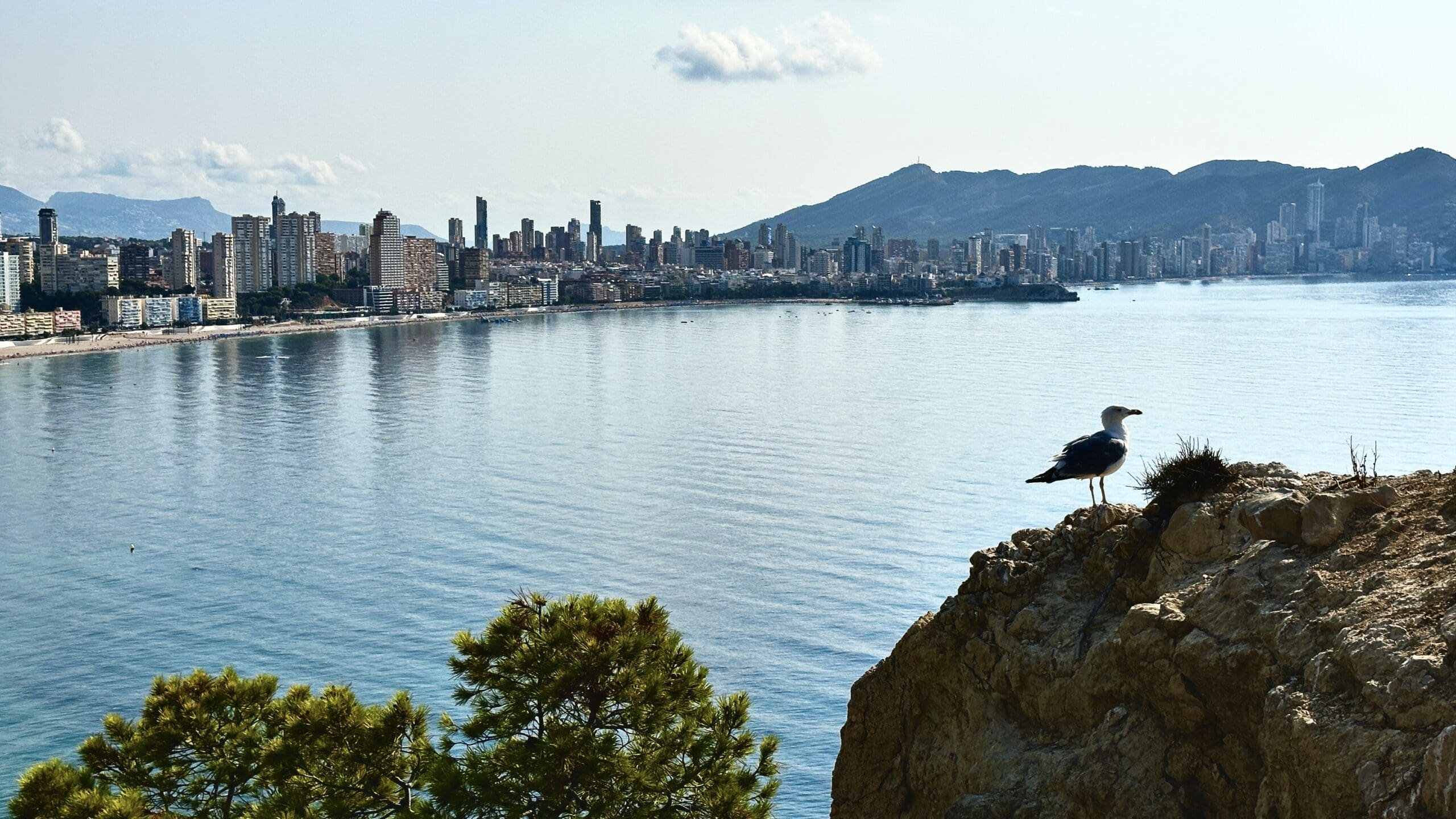 Benidorm coast and city