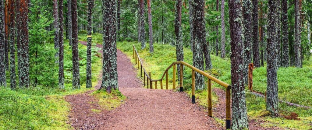 Viru-rämeen polku Lahemaan kansallispuistossa