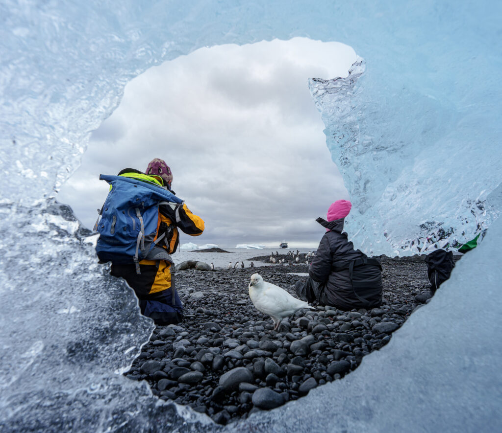 An Antarctic seabird and expedition guests framed by blue ice