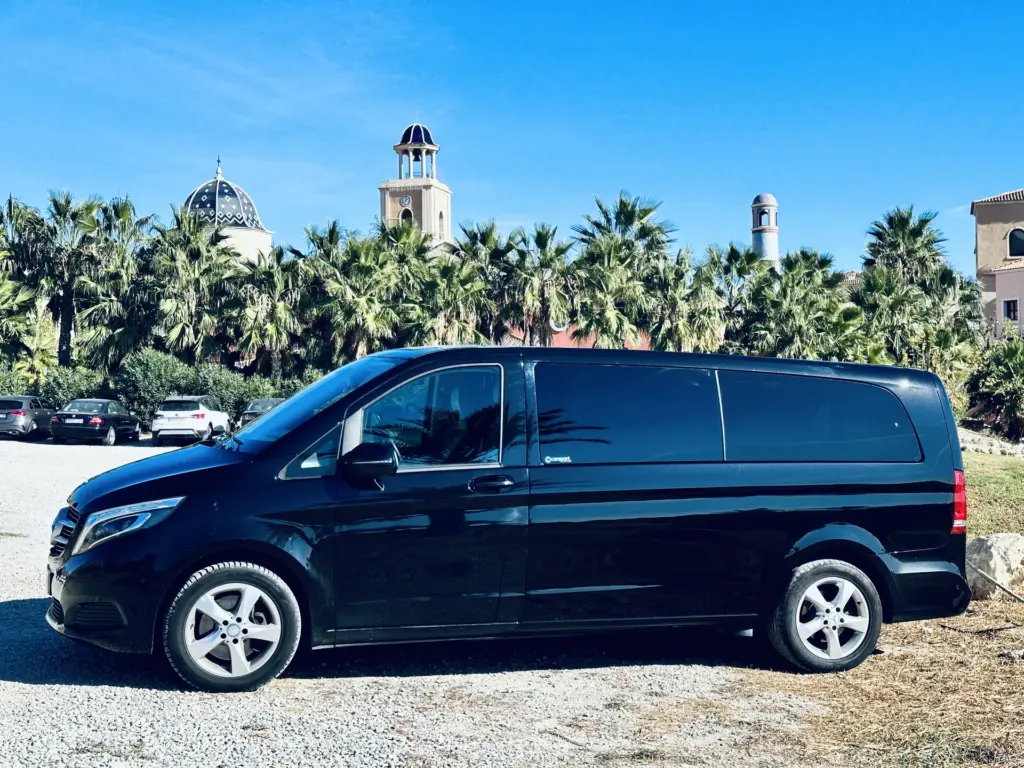 Black Mercedes minivan with palm trees in the background